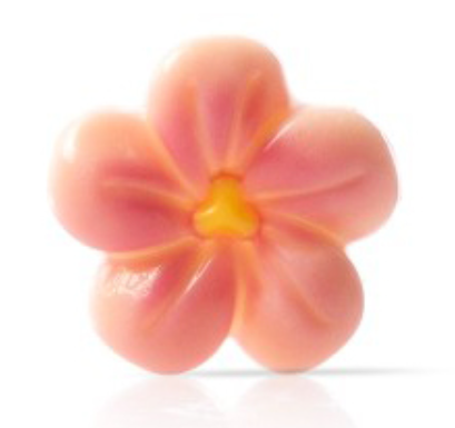 DECORATION PEACH BLOSSOMS WHITE 140x95 gm 20mm DOBLA DOB78424