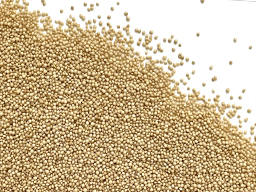 AMARANTH GRAIN  25KG