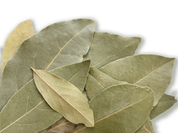 BAY LEAVES 1KG BAYL014-1