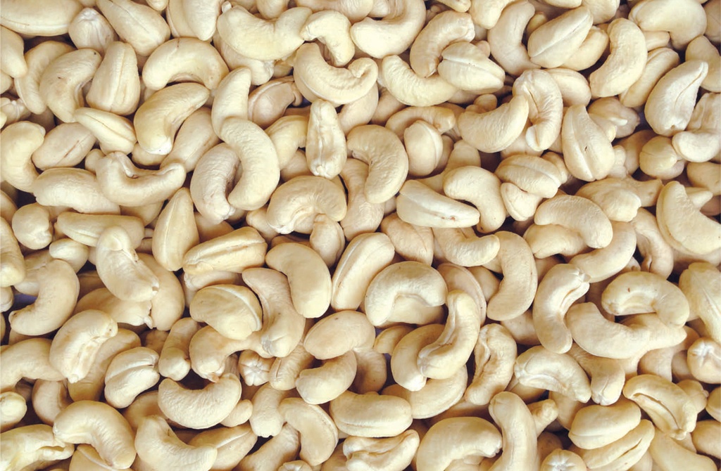 CASHEW RAW KERNELS 22.68KG W320