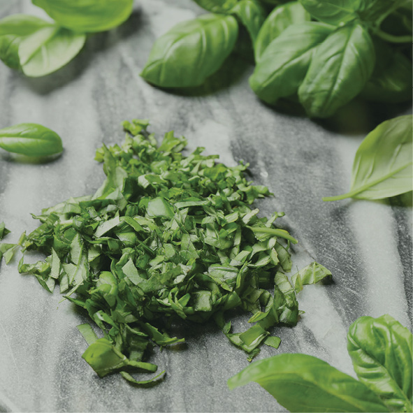 IQF SPINACH 10mm x 10KG LANGDON