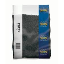 SEED POPPY 5KG