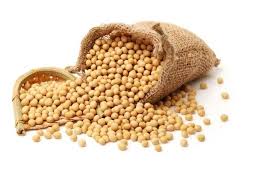 SOY BEANS 25KG