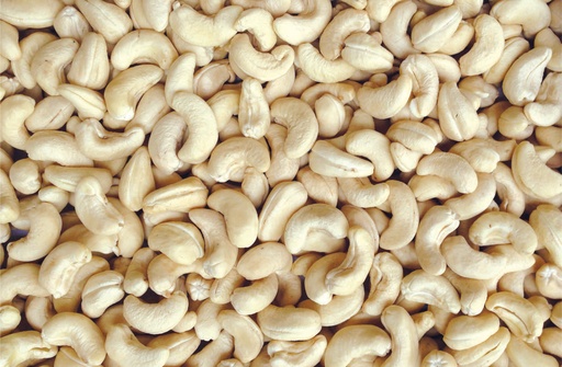 [CASH22.68] CASHEW RAW KERNELS 22.68KG W320