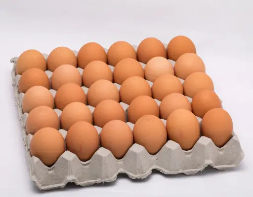 [EGG100] EGG ***EXTRA-JUMBO*** 100 SUNNY QUEEN 10008