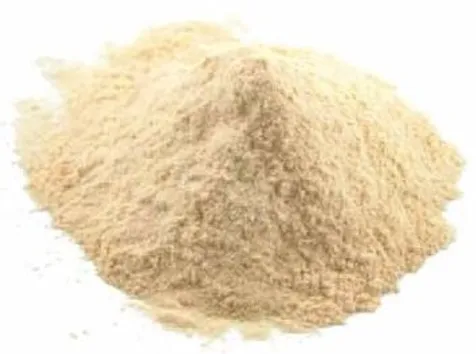 [GARP1KG] GARLIC POWDER 1KG